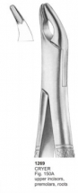  CRYER Fig. 150A upper incisors, premolars, roots 
